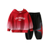 2 Pcs Baby  Boys' Gradient Hoodie And Sweatpants